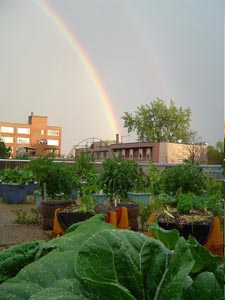 Après la pluie, le beau temps